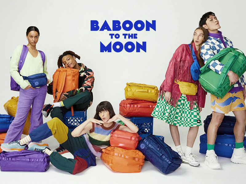 Baboon to the Moon Group